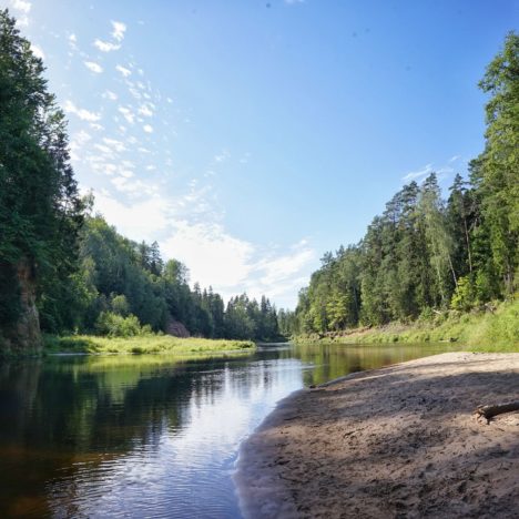 Tag 15 – Wir stecken bis zum Kopf im Moor