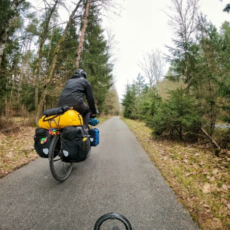 Tag 007 – Frühlingserwachen