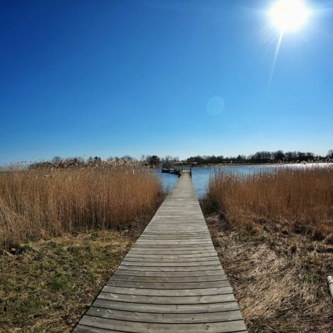 Tag 019 – Wir lassen die Hosen runter