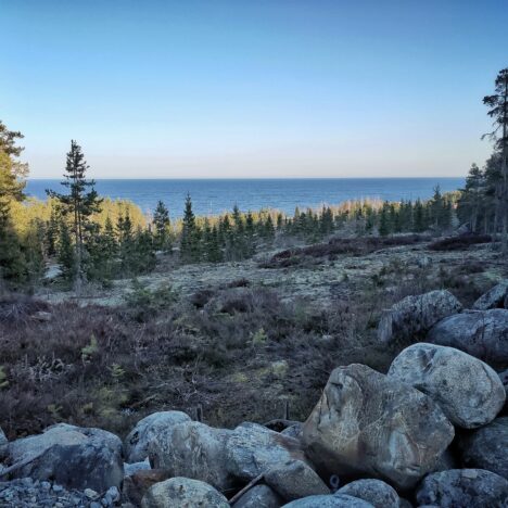 Tag 043 – Ruhig und entspannt durchs Schwedenland