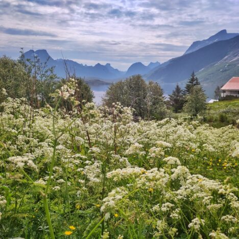 Tag 085 – Über’n Berg, zum Strand und in die Wolken