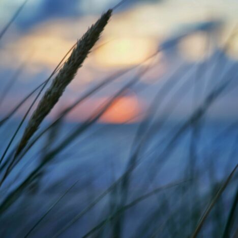 Tag 03 – Meer … was will man mehr